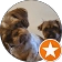 Caroline Dodsworth profile picture