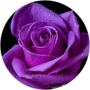 Zahreena Azam profile picture