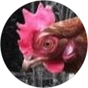 Tracey Billups-Naylor profile picture