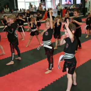 marital arts for kids